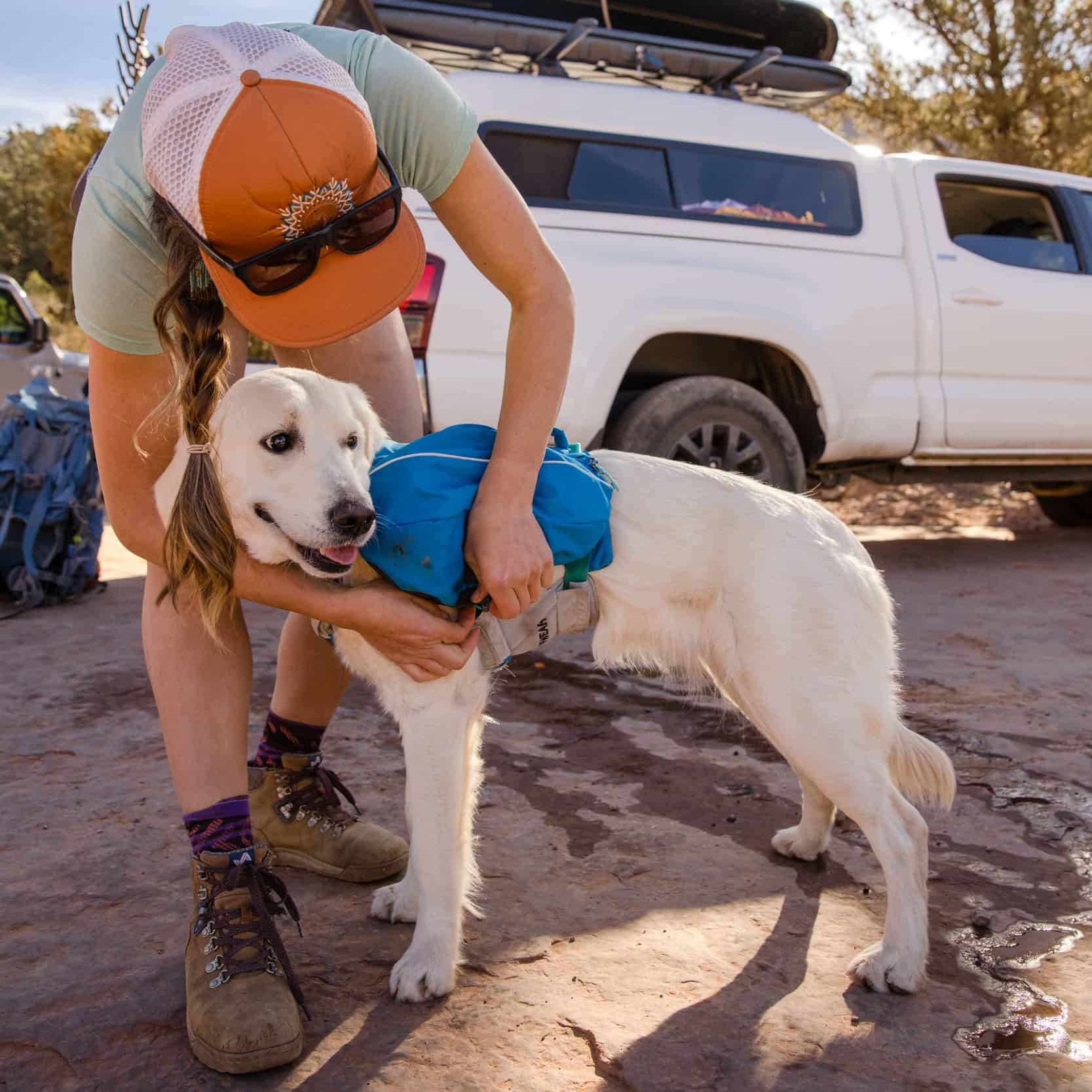 Ruffwear approach hotsell dog pack