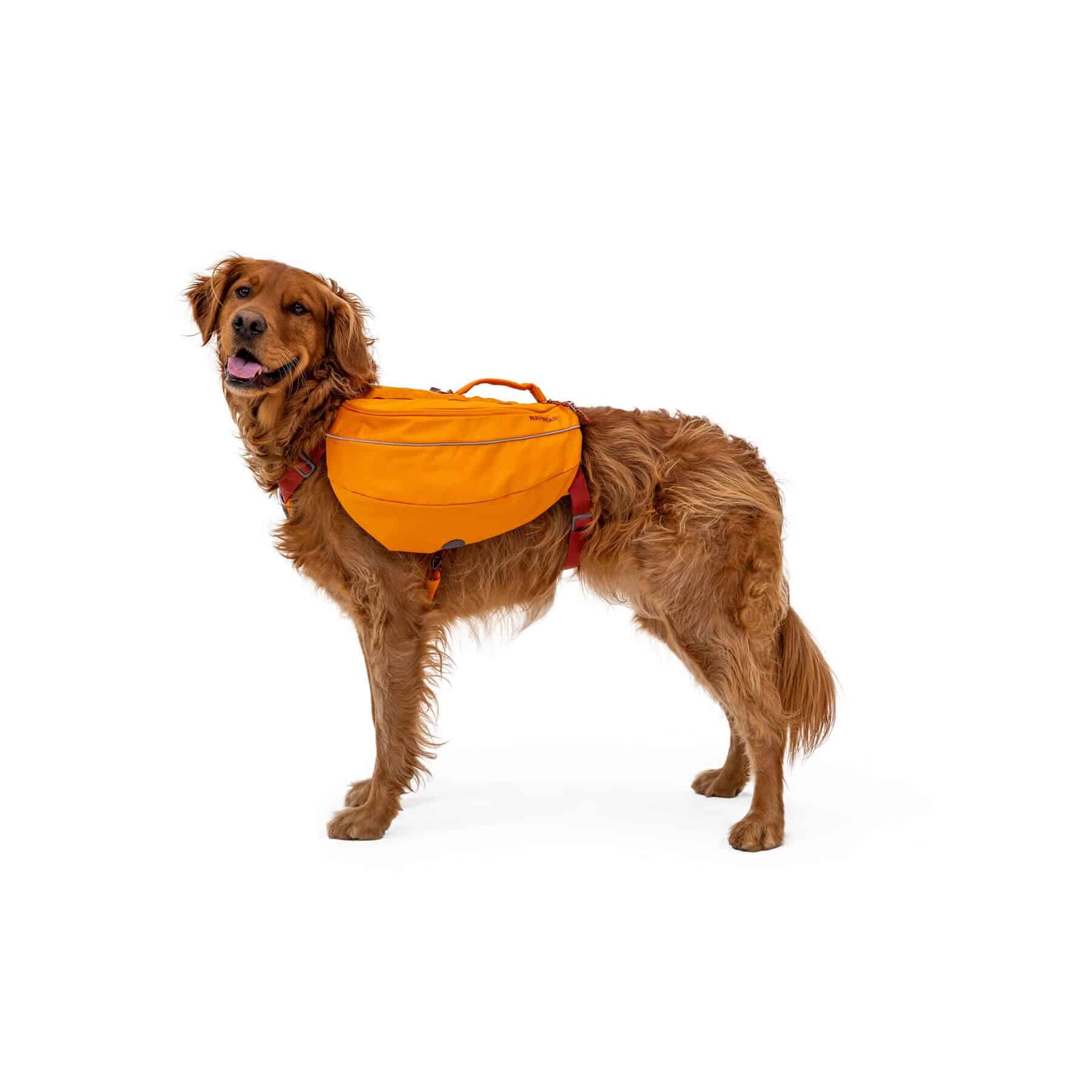 Ruffwear backpack 2025