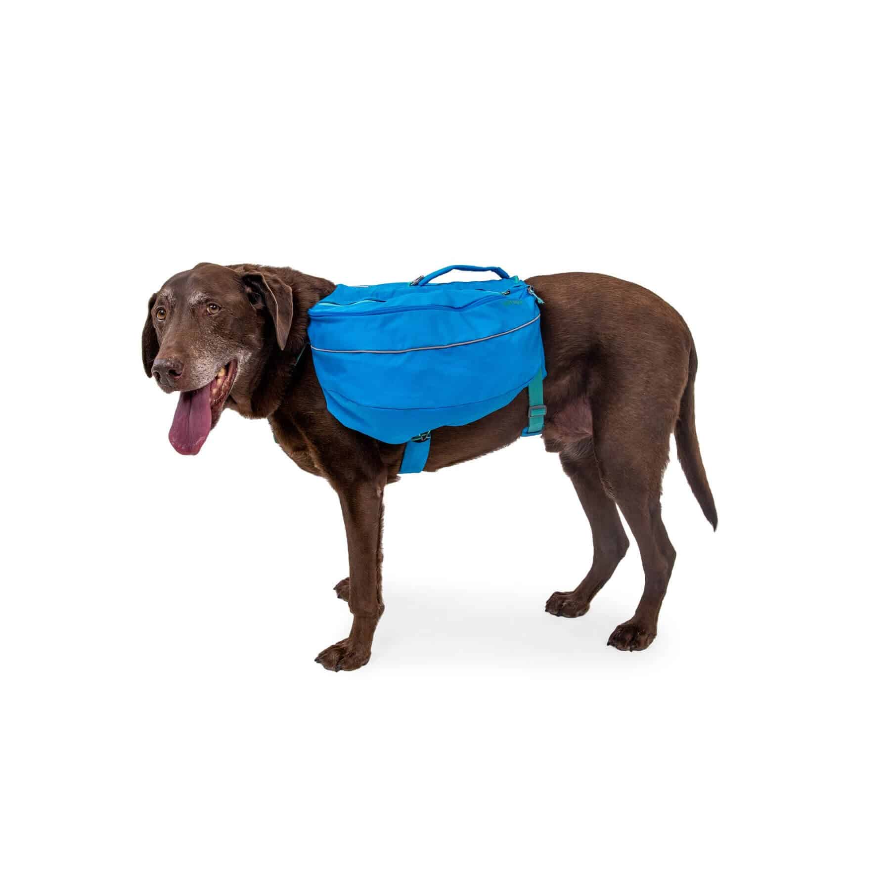 Ruffwear Approach Dog Backpack Pet Shop Direct