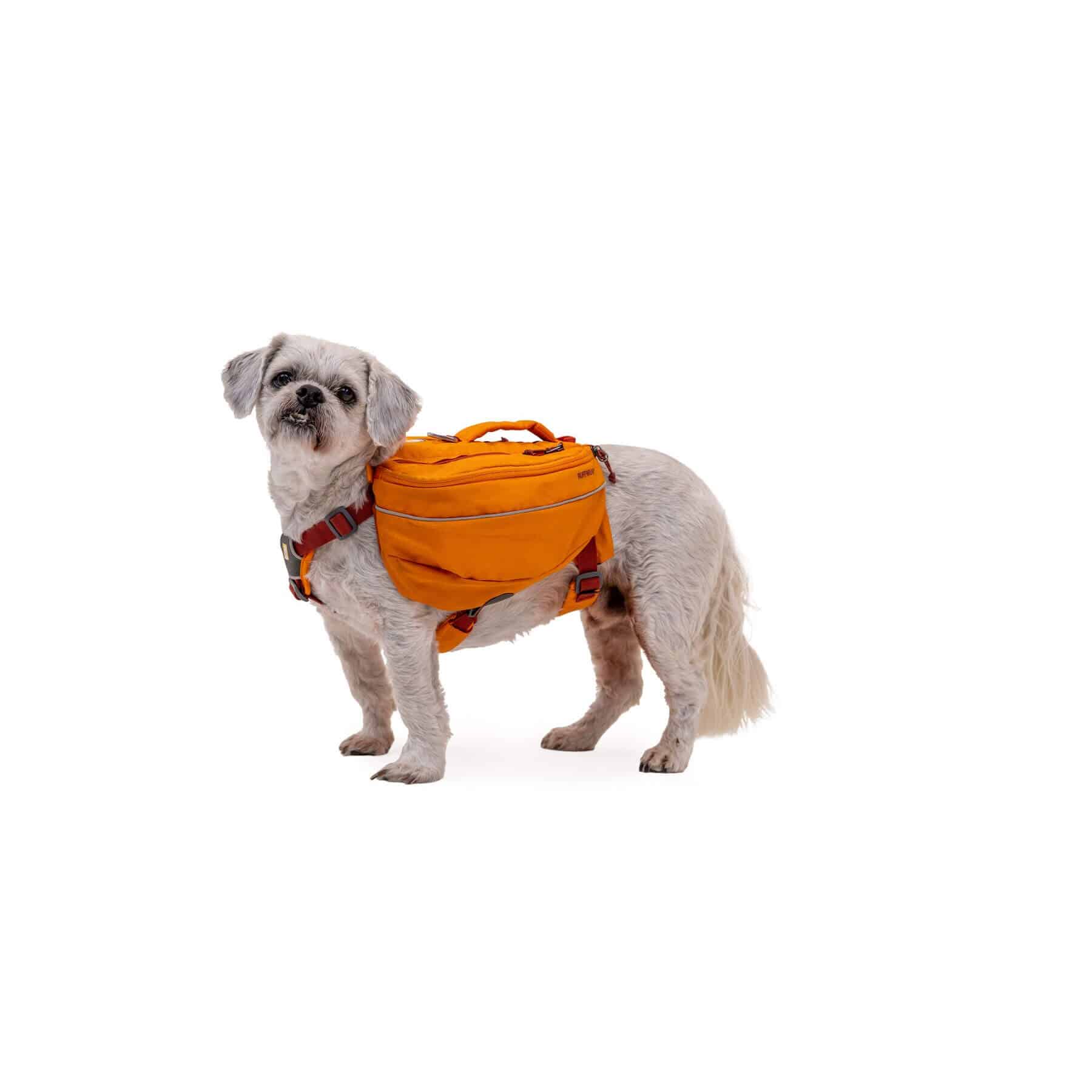 Approach dog pack best sale