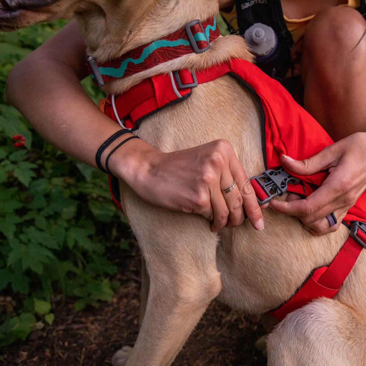 Ruffwear anti pull clearance harness