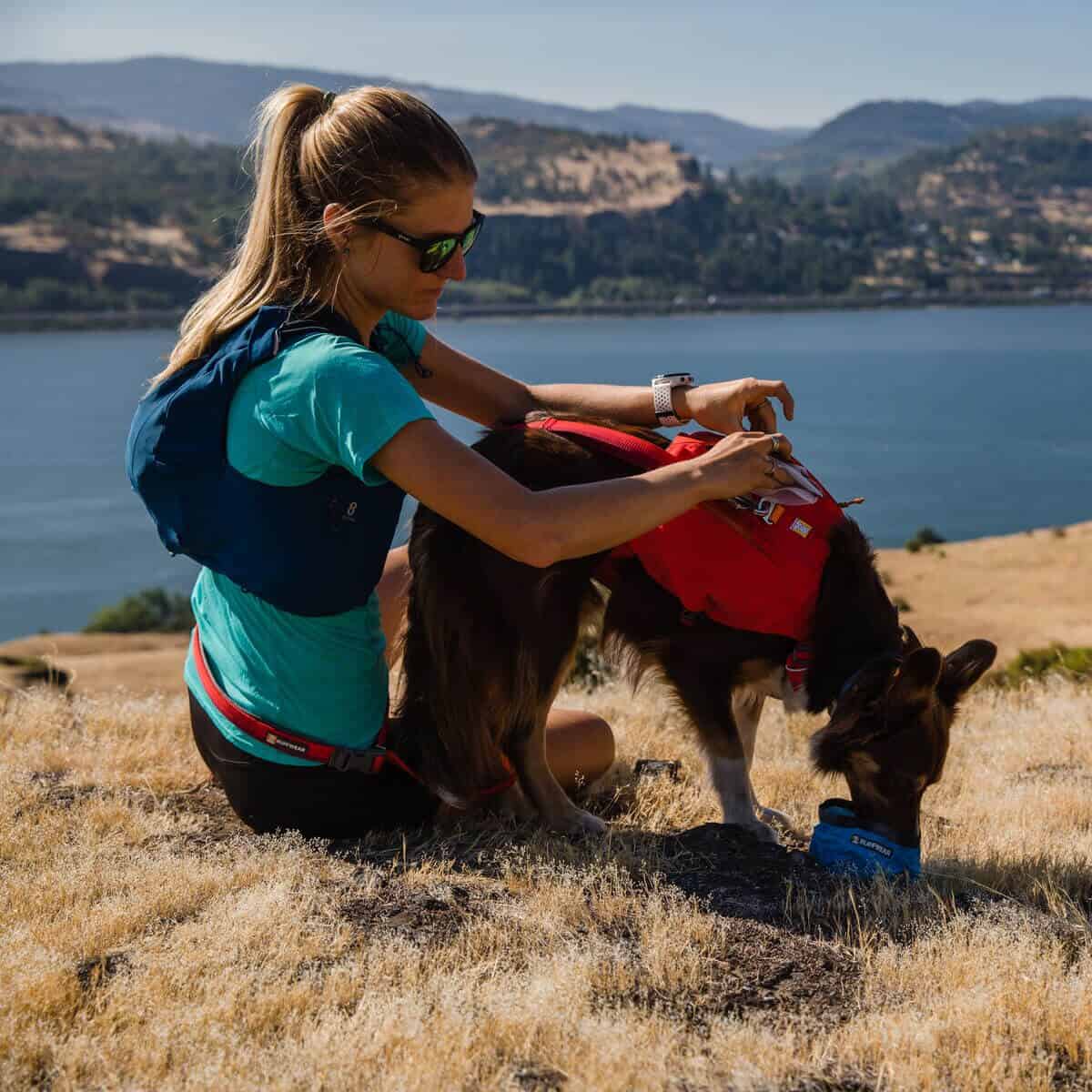 Ruffwear Switchbak Dog Harness Pet Shop Direct