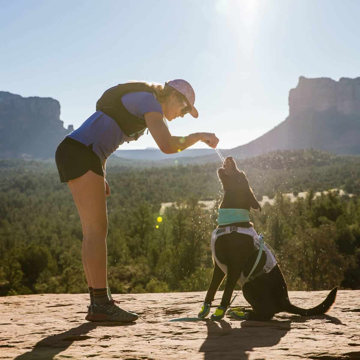 Ruffwear Swamp Cooler Harness All in One Cooling Solution Pet