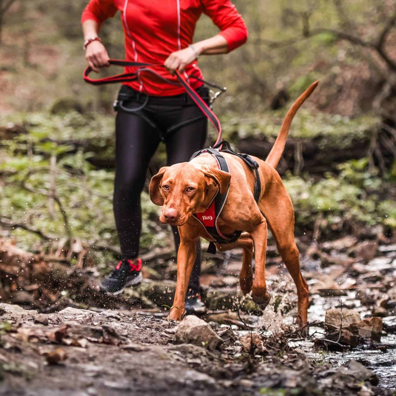 Balance Harness - Fully Adjustable Dog Harness - Clean Run