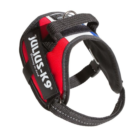 Julius K9 Size Guide | Julius K9 Harness Size Chart, Sizing & Fitting Guide