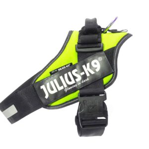 Julius-K9 IDC Dog Powerharness – BEST SELLER! - Neon, 2
