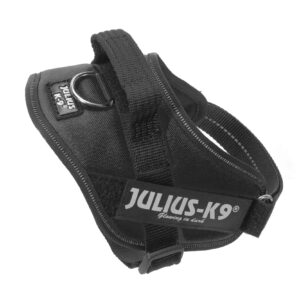 Julius-K9 IDC Dog Powerharness – BEST SELLER! - Black, Mini