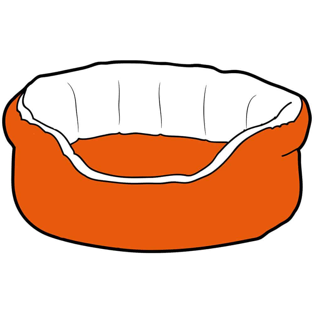 Cat Beds and Buskets