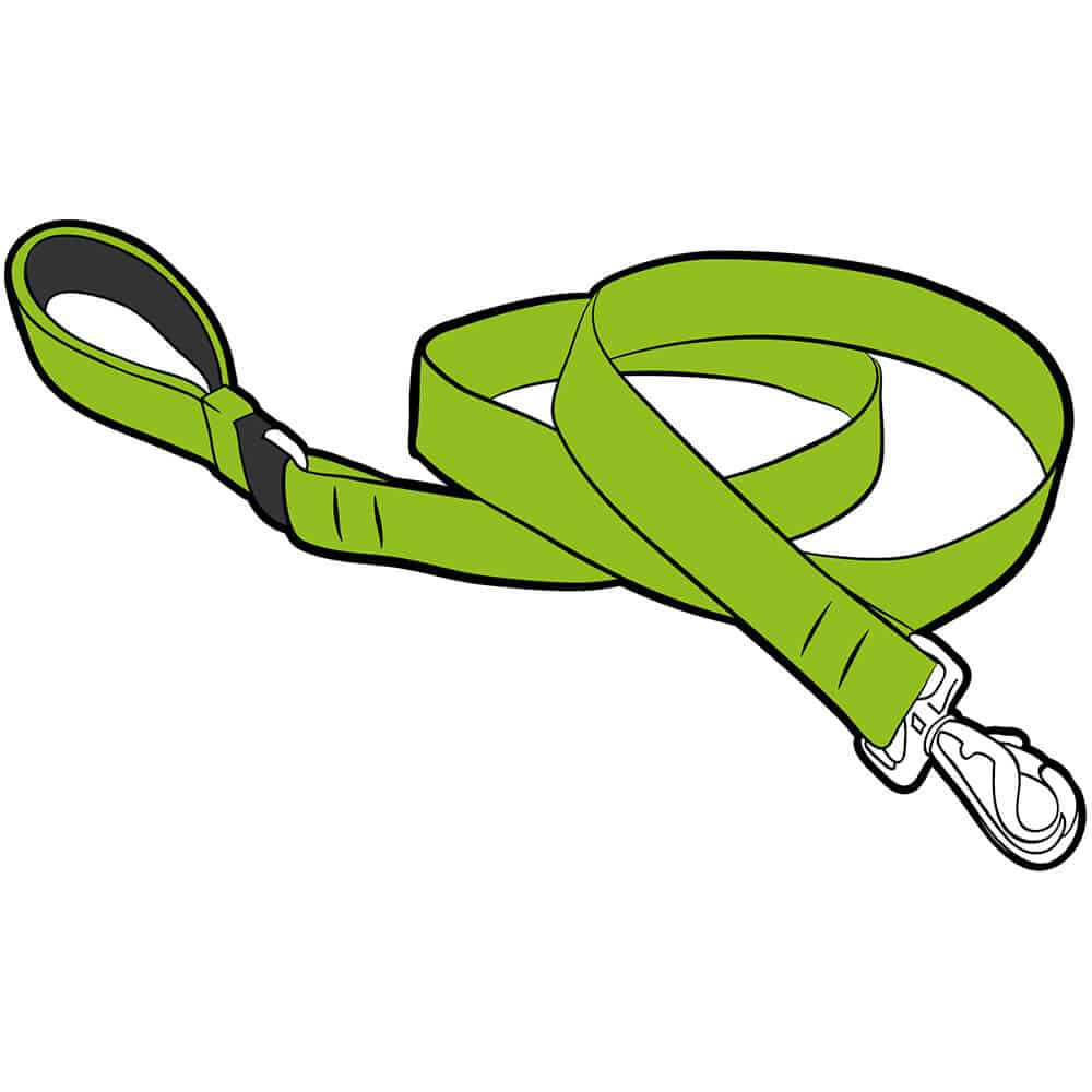 Dog Leads