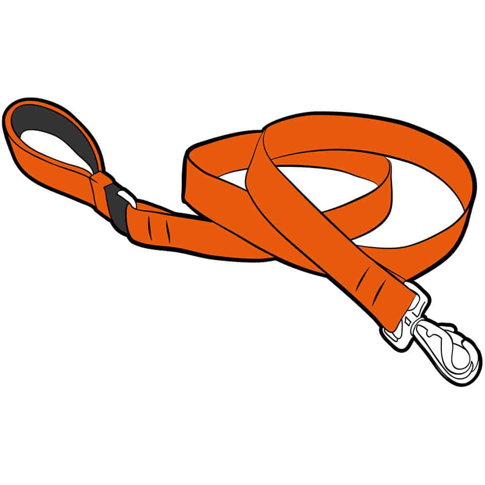 Cat Leads