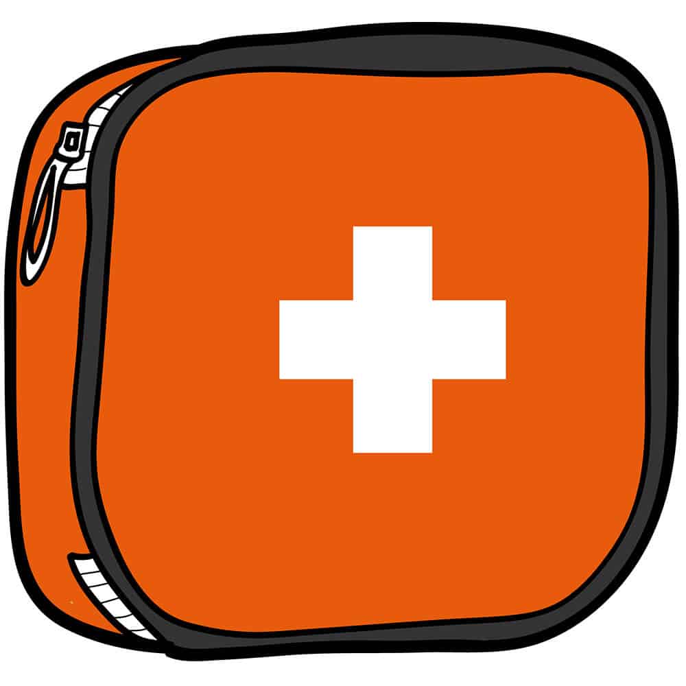 Cat First Aid