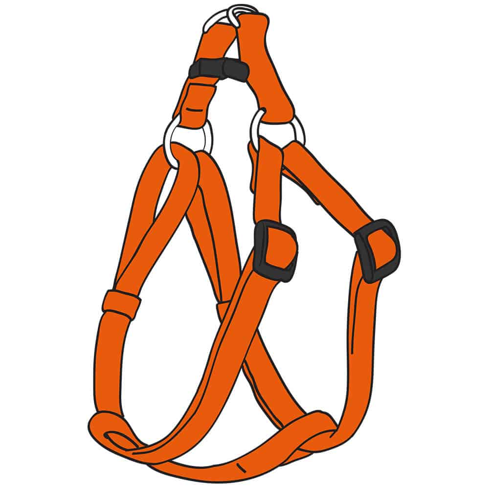 Cat Harnesses