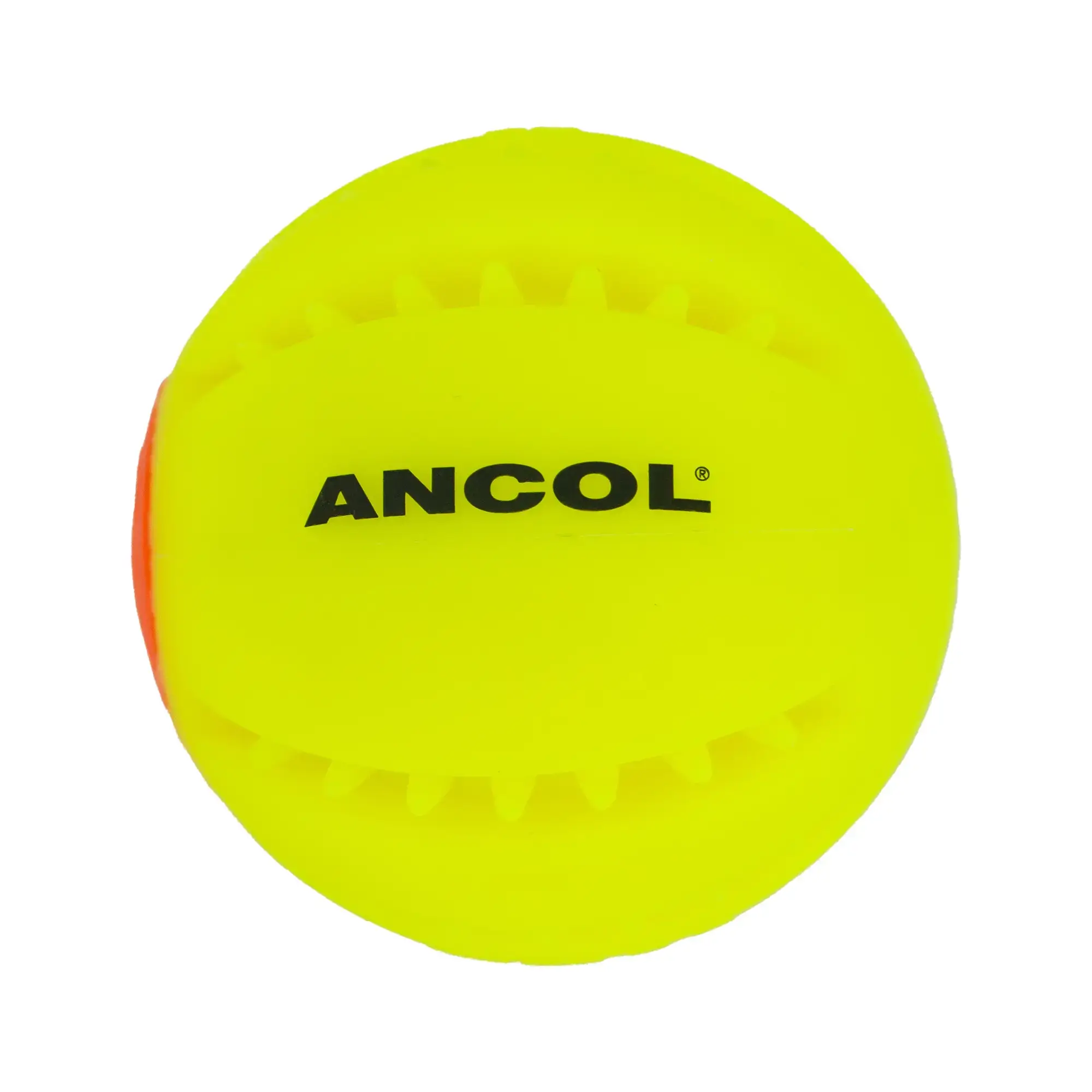 light up dog ball