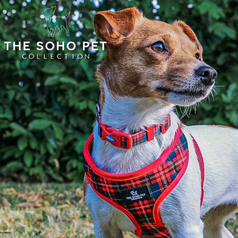 Ancol Dog Harness Soho Pet Collection Reversible Dog Harness