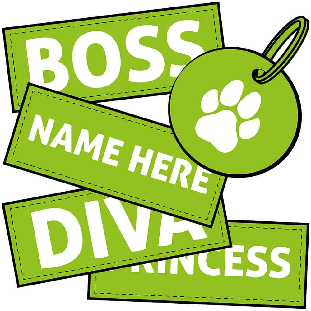 Tags and other accessories