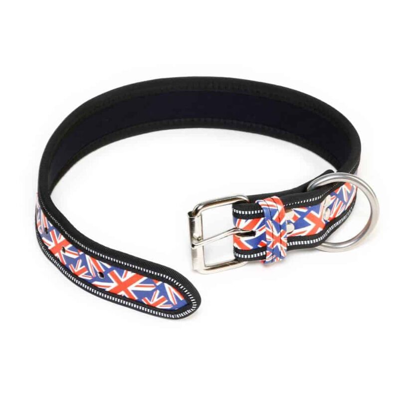 JuliusK9 British Flag Dog Collar Pet Shop Direct