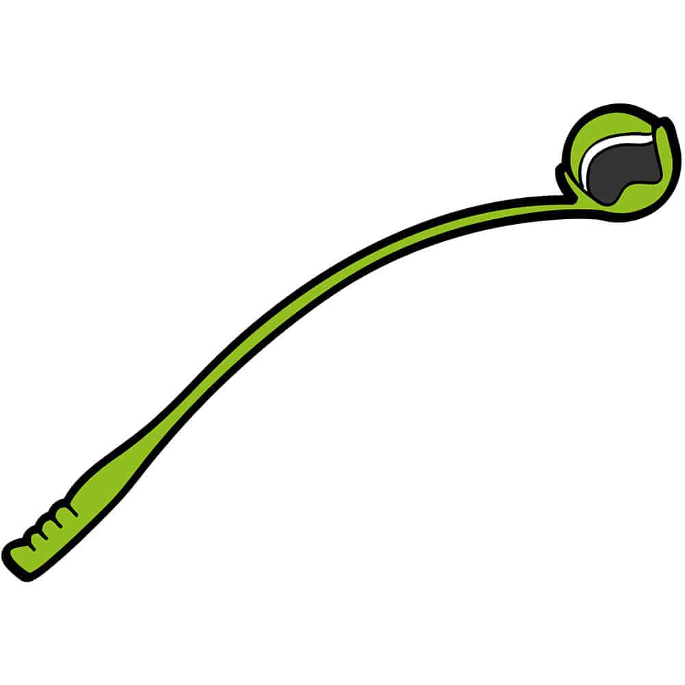 Dog Balls and Outdoor Sport Accessories