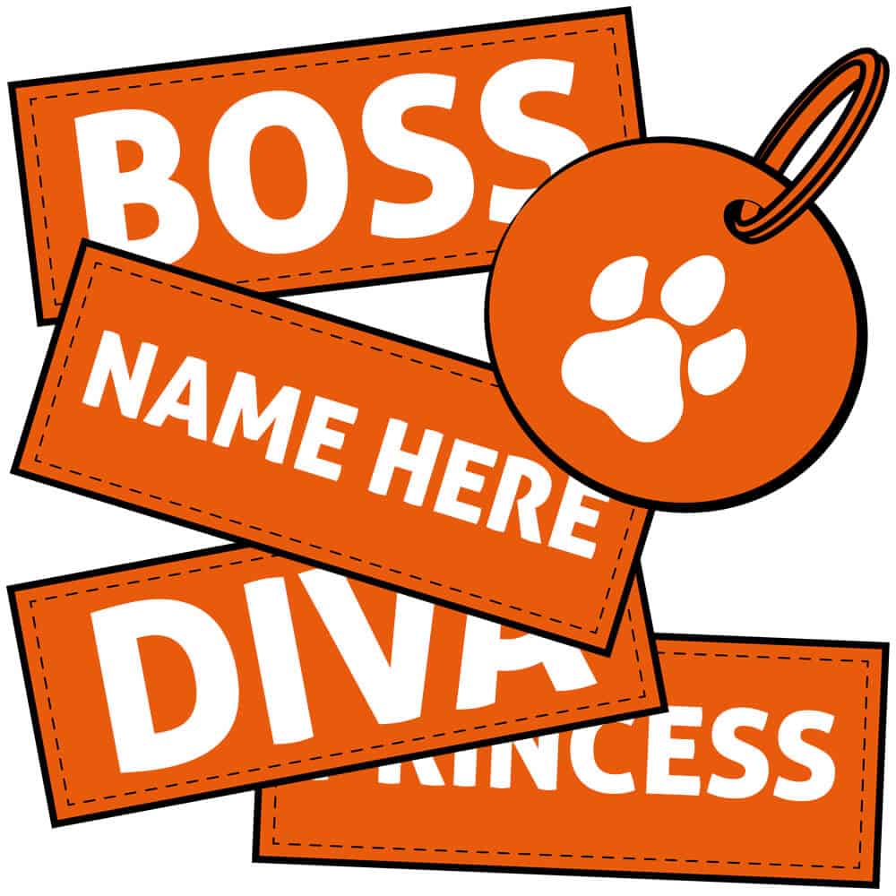 Tags and other accessories