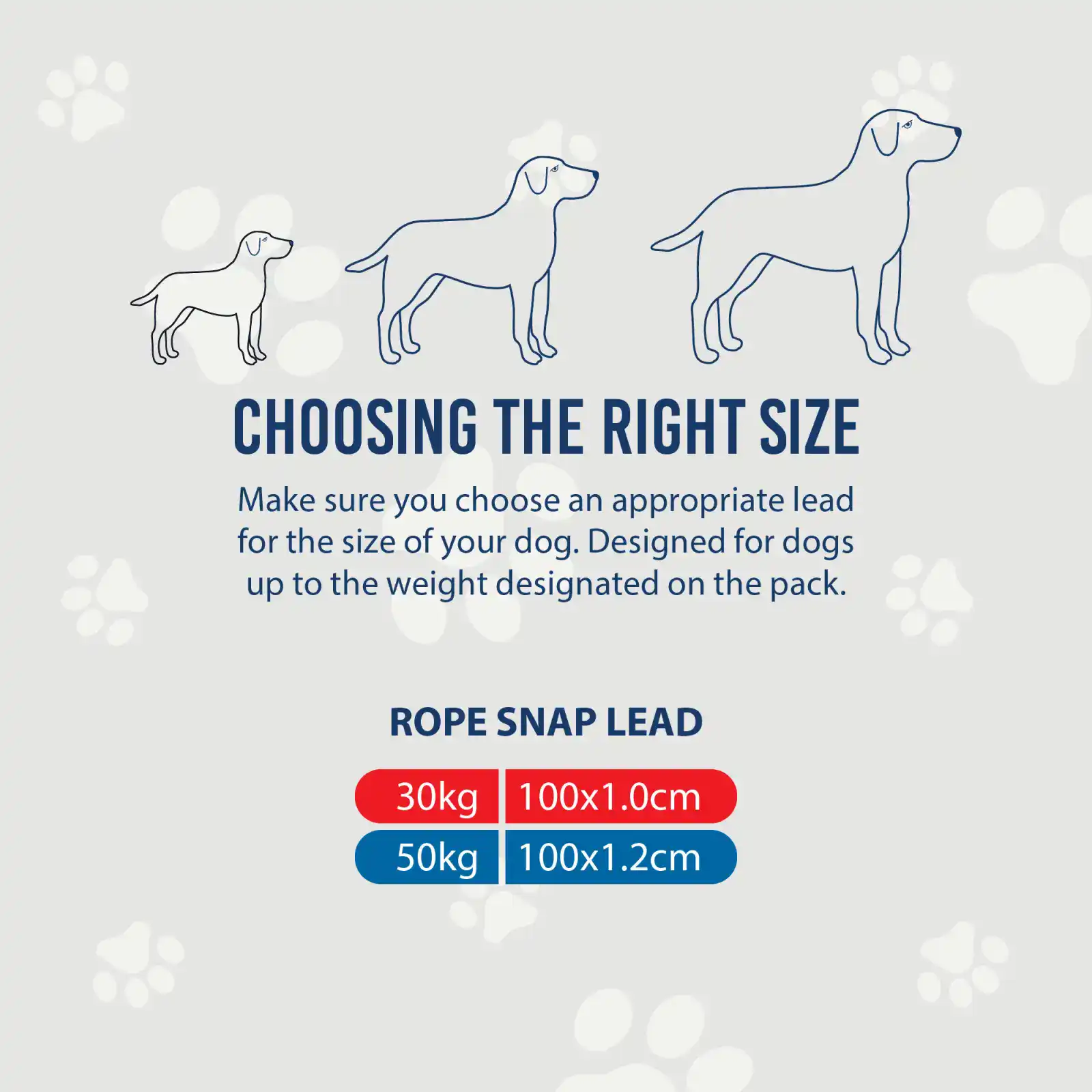 697110-7 reflective dog leads
