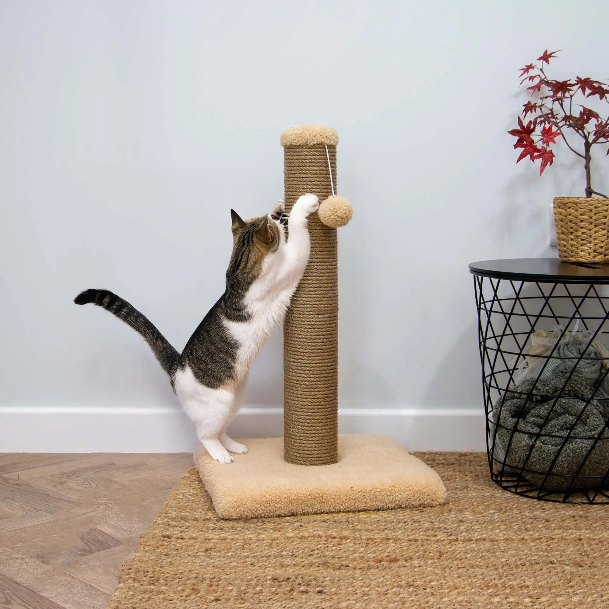 scratch post
