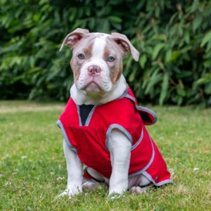 waterproof dog rain coat