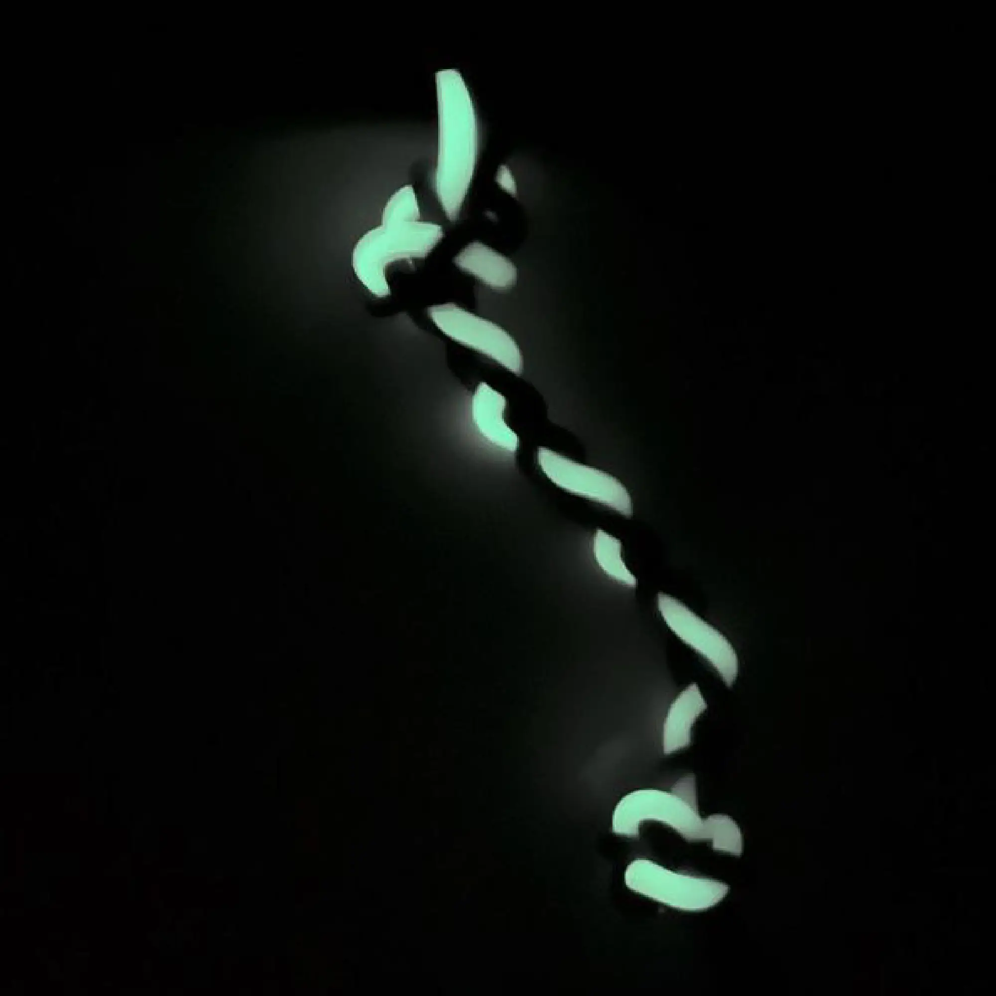 991479-3 glow in the dark dog toy
