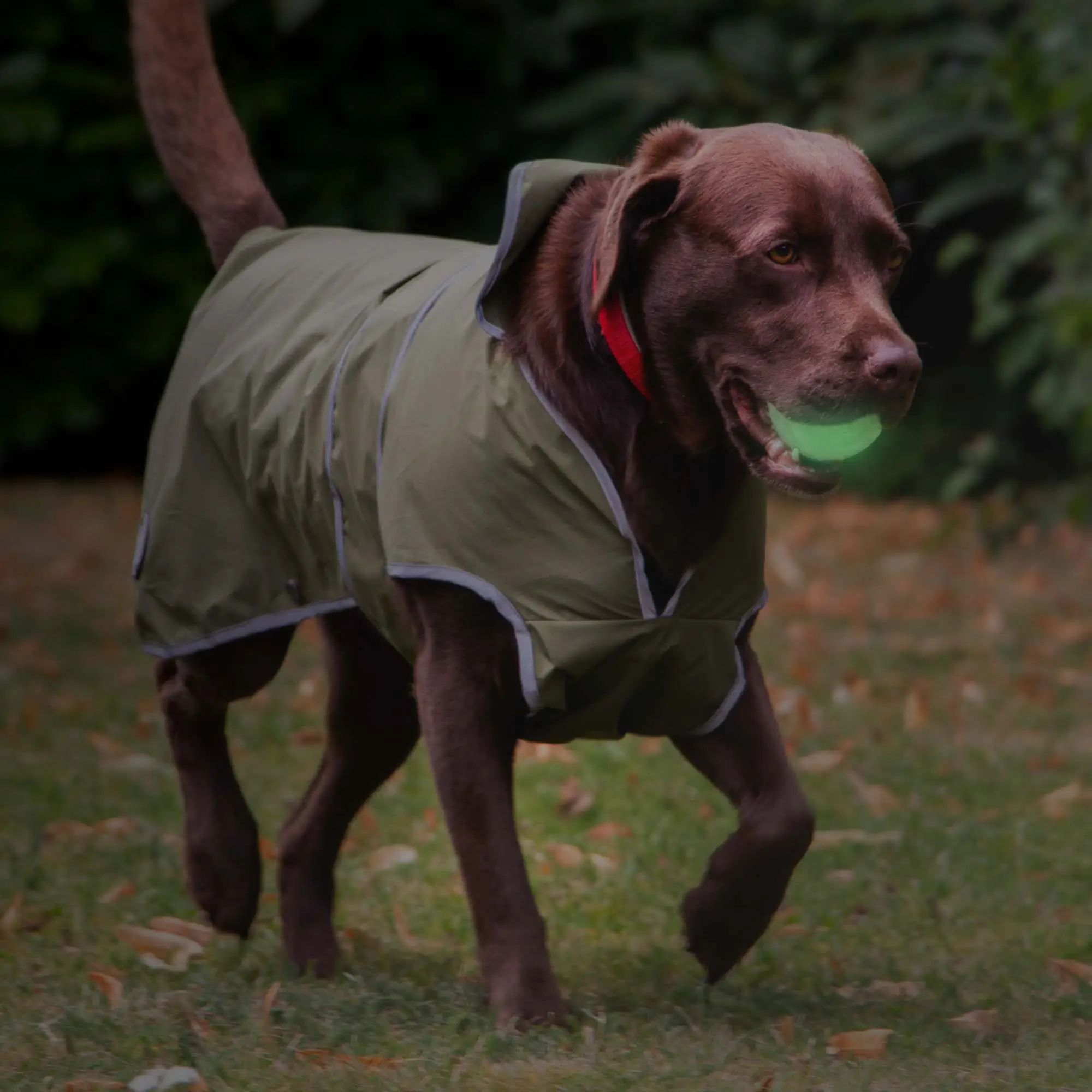 991509-2 glow in the dark dog ball