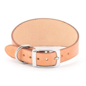 Ancol Leather Dog Collar for Greyhound & Whippet