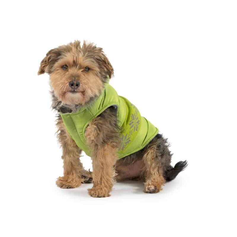 Ancol Dog Coat Ancol Splashguard HiVis Raincoat Direct