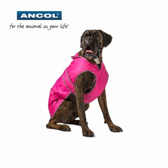 Ancol Muddy Pfoten Grun Parka Hunde Mantel Hunde Bekleidung Zubehor