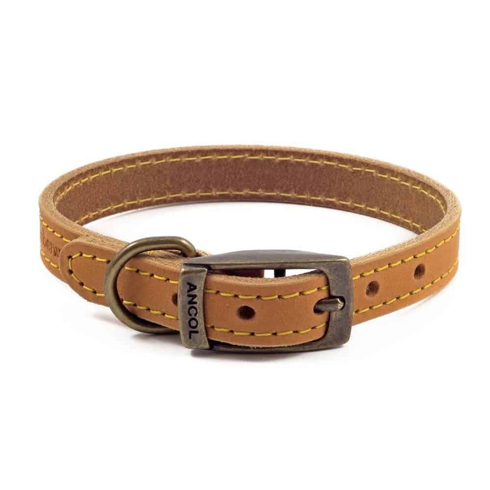 Timberwolf Dog Collar | Ancol Timberwolf Leather Collar | Products