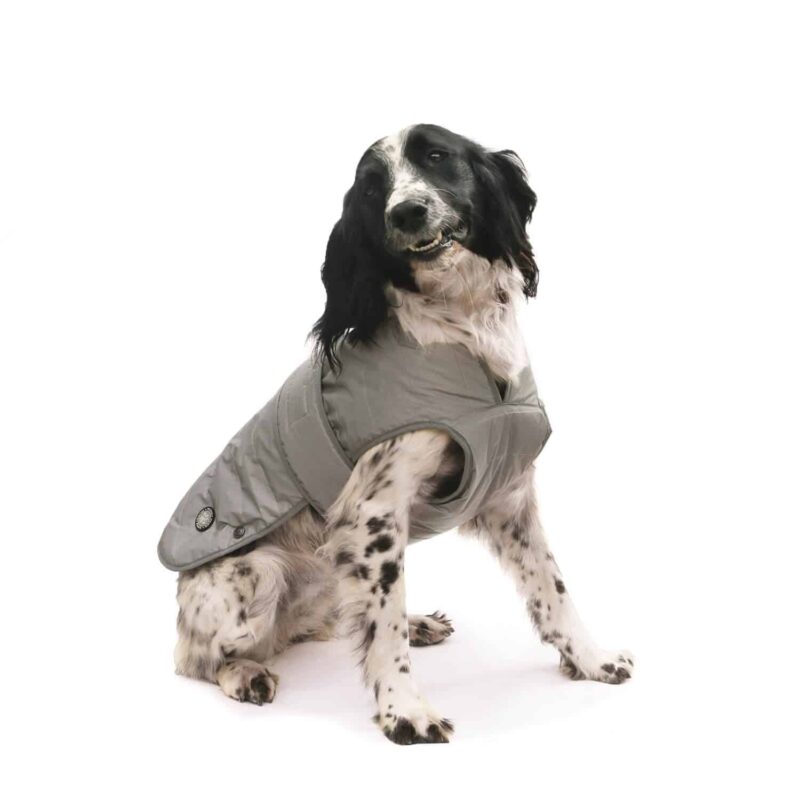 Ancol Muddy Paws Dog Coat Muddy Paws Stormguard Dog Coat