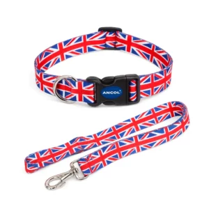 union jack dog collar