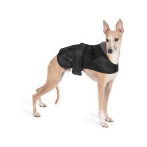 whippet dog coat