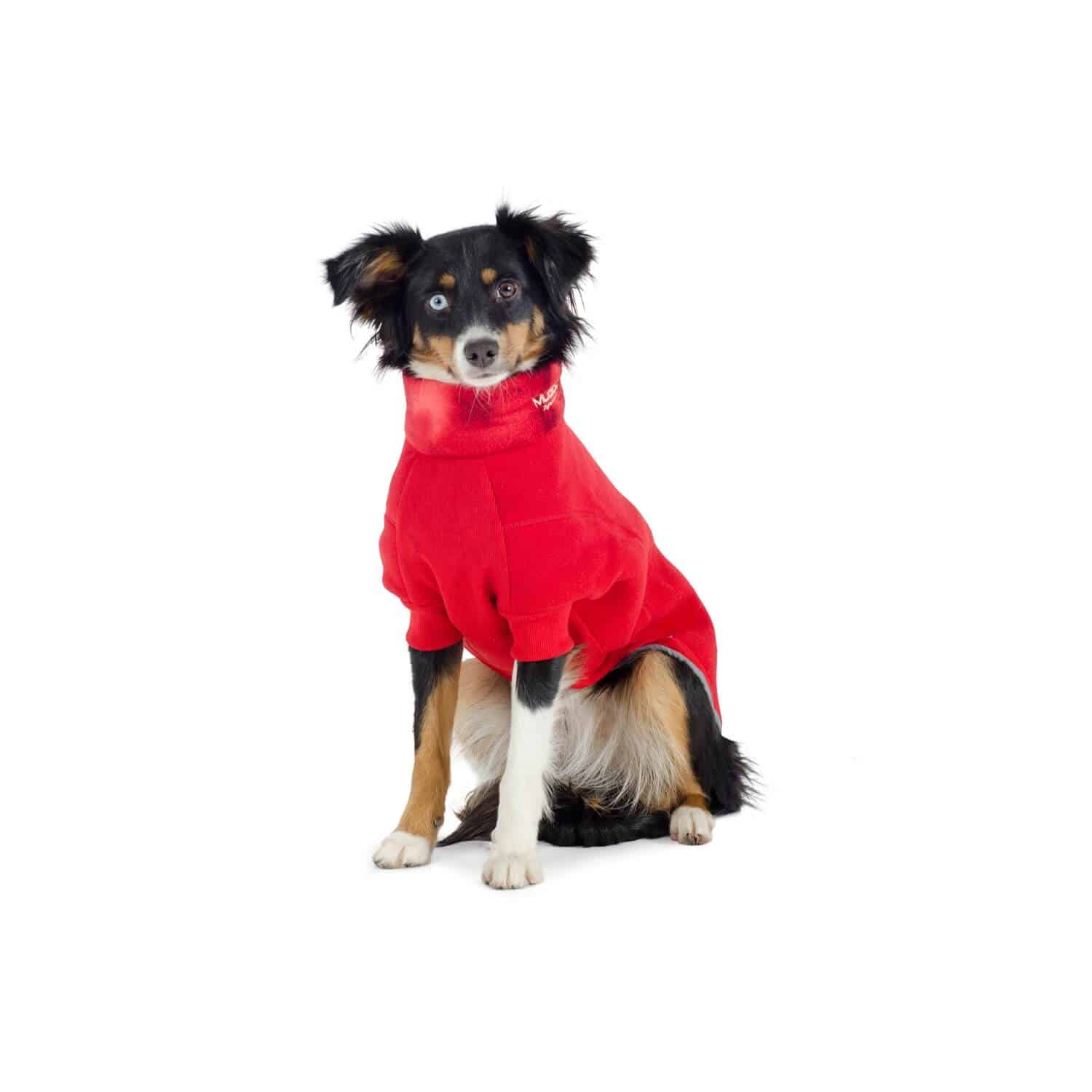 dog fleece jacket