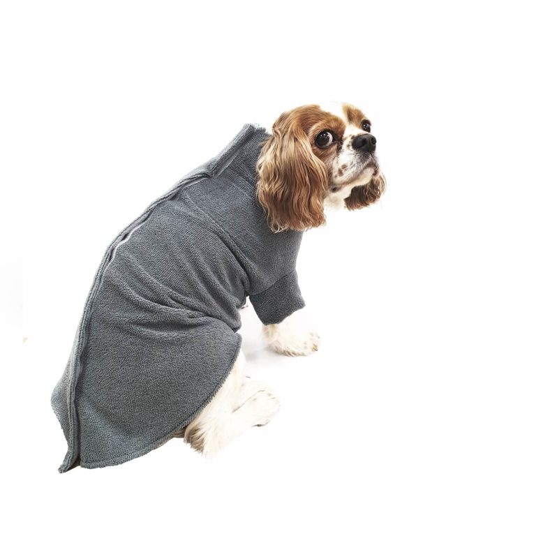 drying dog coat