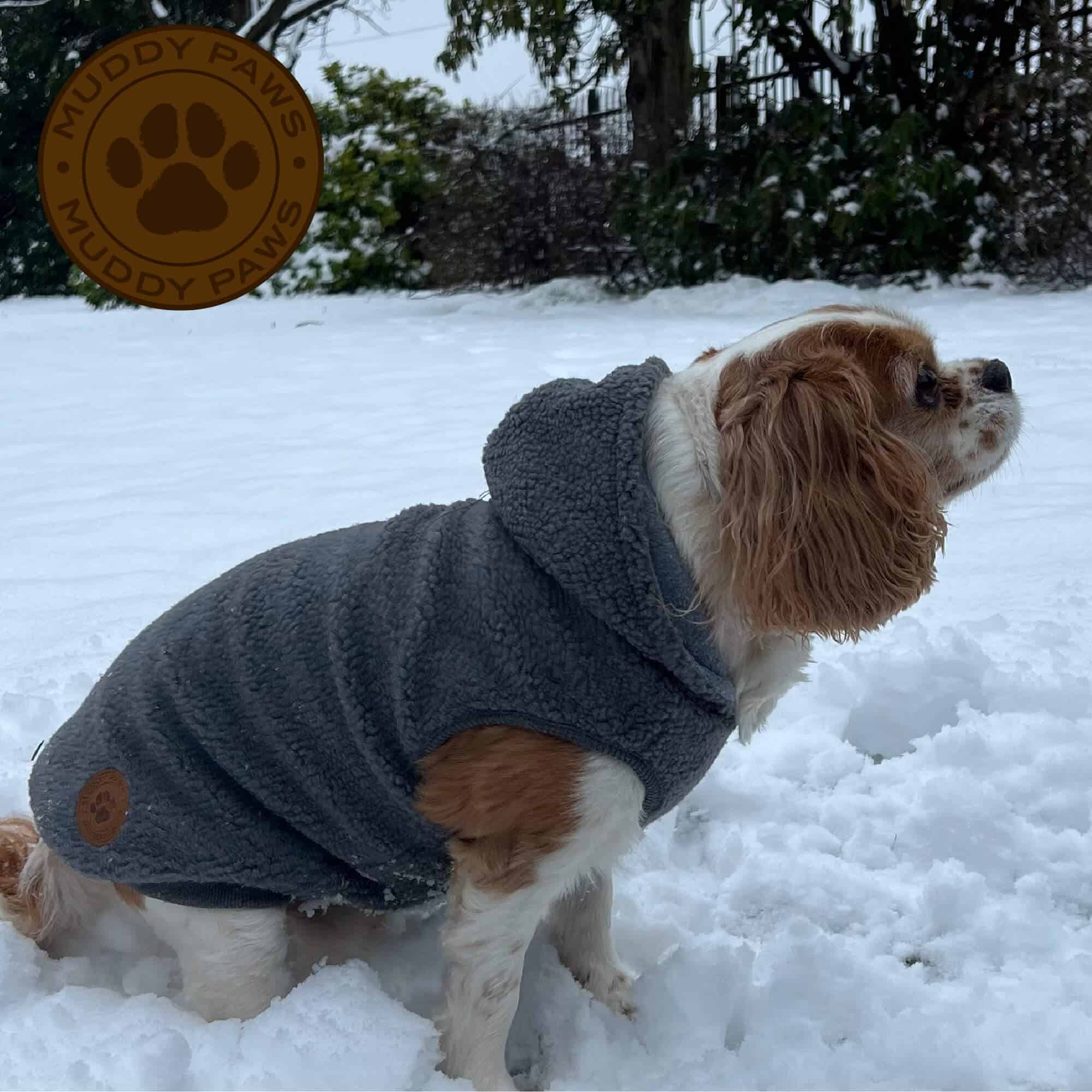 warm dog hoodie