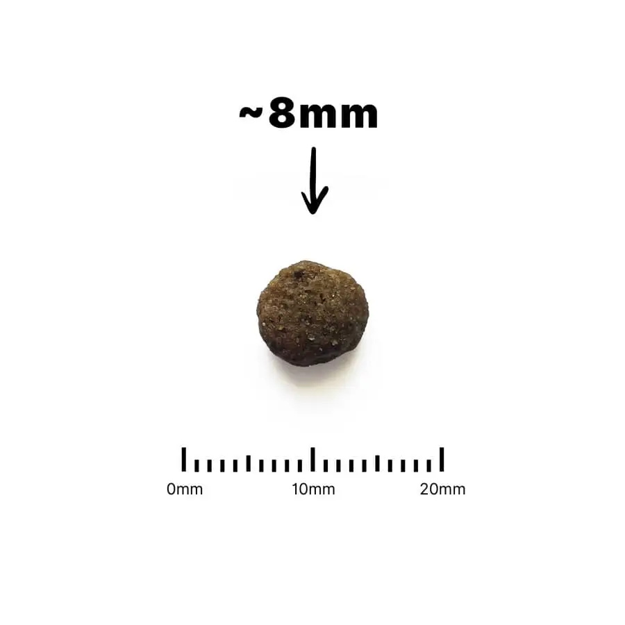 Animalux-Kitten-Dry-Food-Kibble-Size