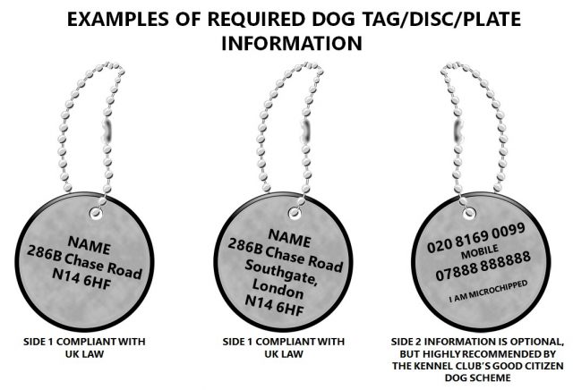 dog-name-tags-uk-legal-requirements-for-dog-s-id-tags-in-the-uk