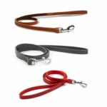 dog leather leash