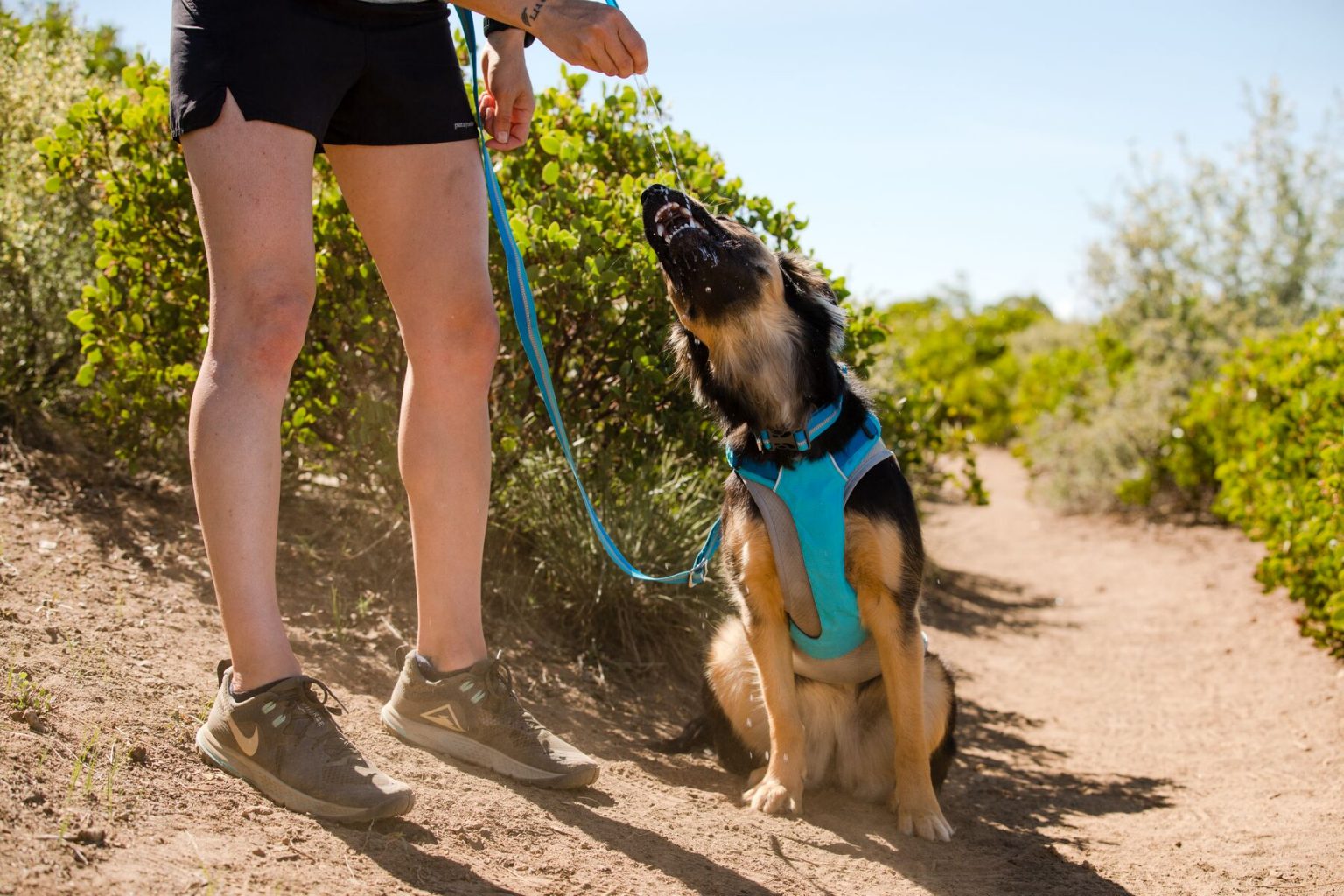 Ruffwear Dog Harness Size Guide - Pet Shop Direct