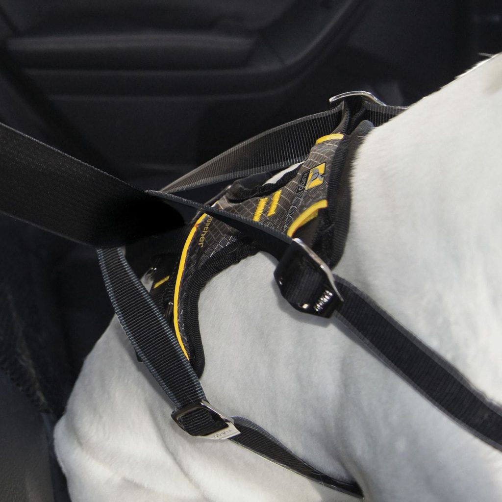 Kurgo Impact Dog Safety Harness Crash Tested Pet Shop Direct