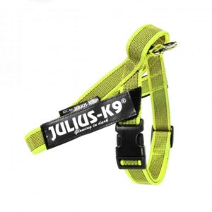 Julius-K9 IDC® Color & Gray Belt Harness - Neon, Mini