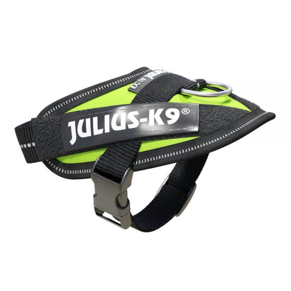Julius-K9 IDC High Visibility Powerharness | Julius K9 IDC Harness
