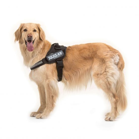 Julius K9 Size Guide Julius K9 Harness Size Chart, Sizing & Fitting Guide