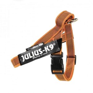 Julius-K9 IDC® Color & Gray Belt Harness - Orange, Mini