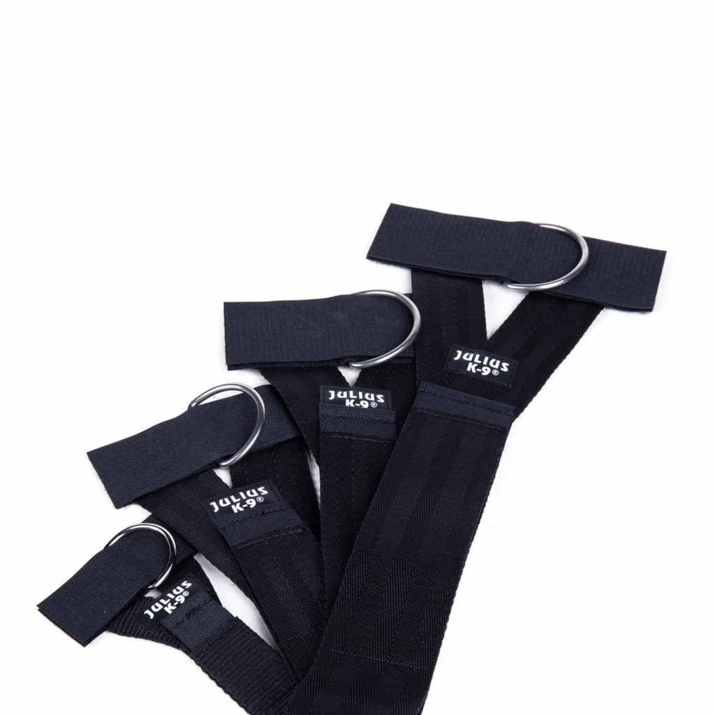 Julius K9 UK | Julius K9 Accessories & Pet Supplies | Petshop Direct