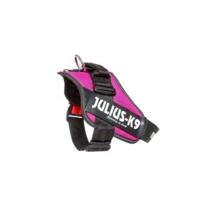 Julius-K9 IDC Dog Powerharness – BEST SELLER! - Dark Pink, 1
