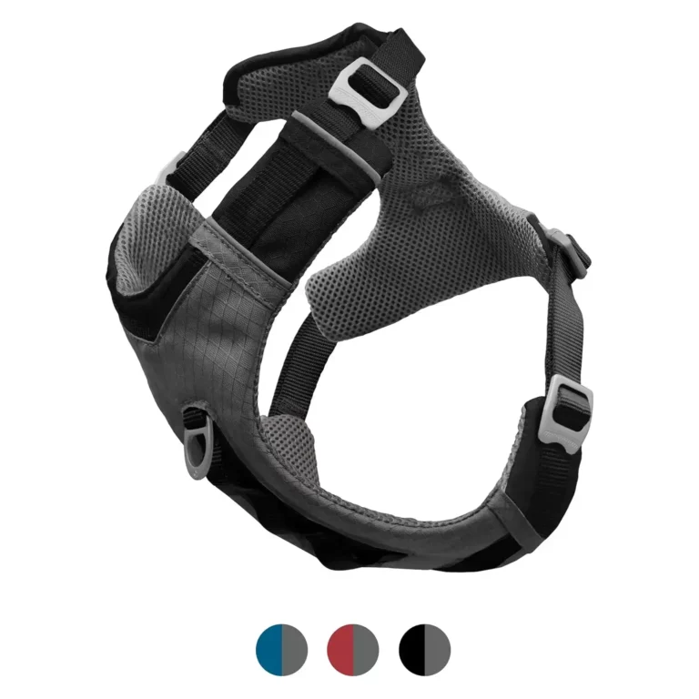 kurgo harness