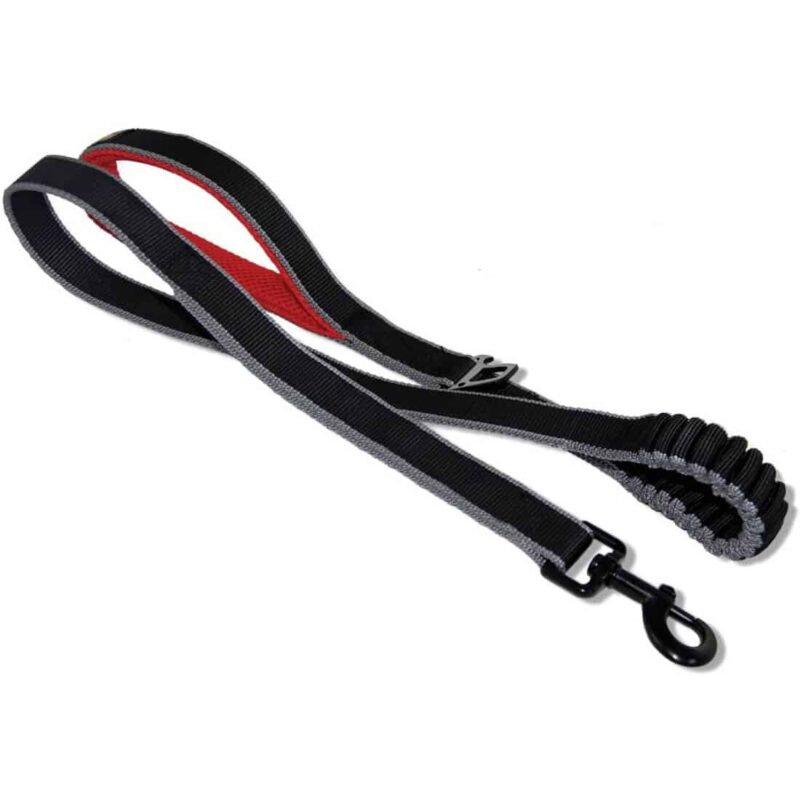 Kurgo Quantum 6in1 Dog Leash Hands Free Leash Direct